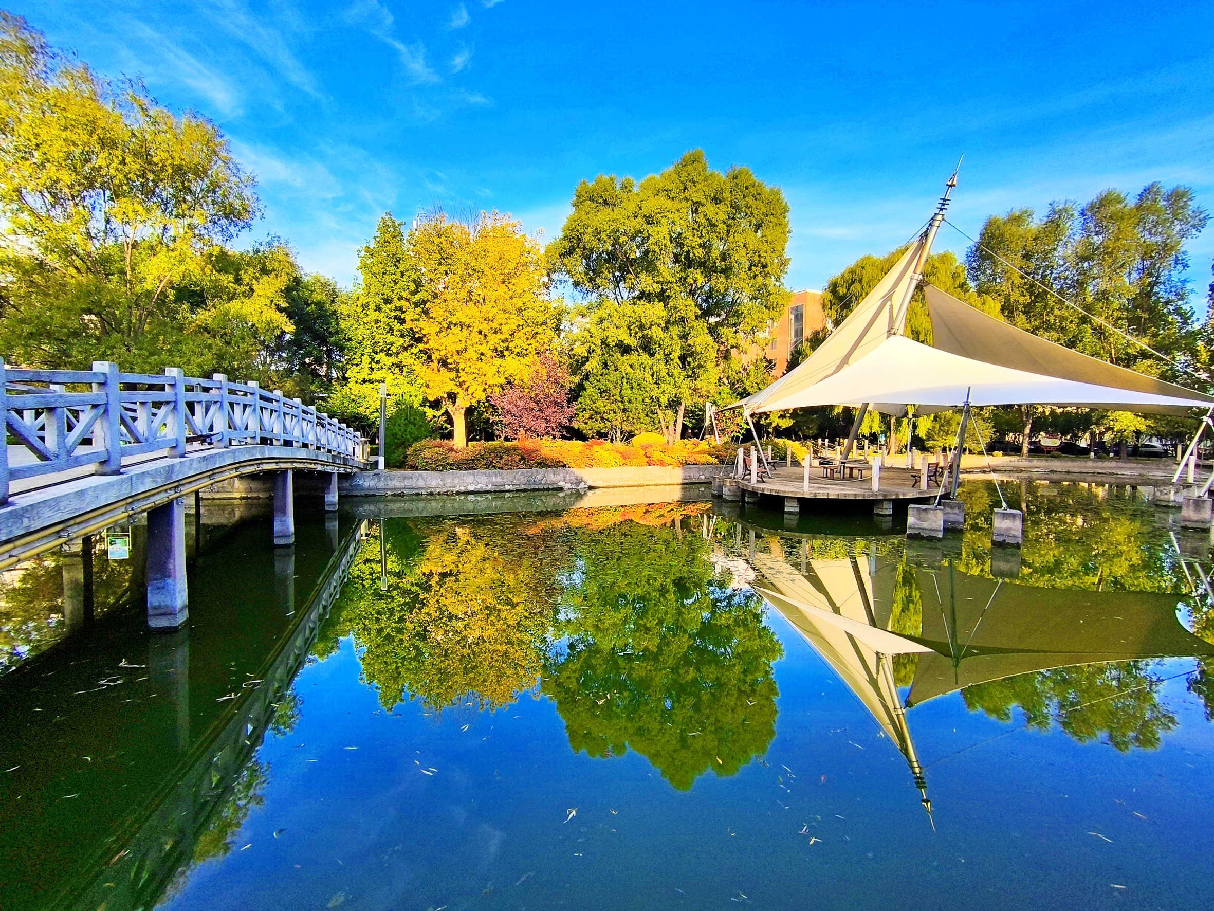 秋日的司马煤业公司